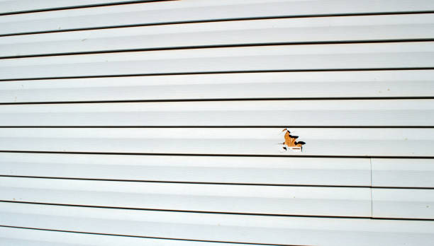 Siding for Commercial Buildings in Chowchilla, CA